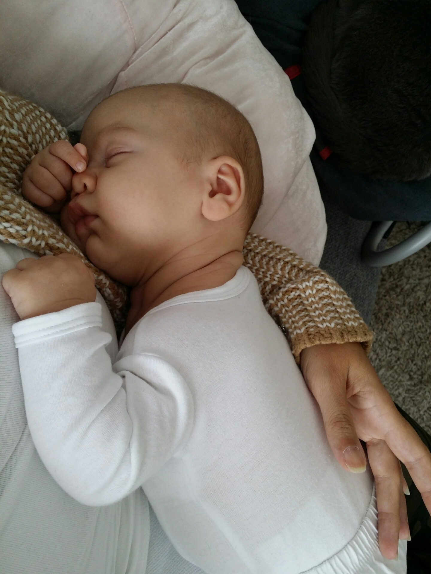 wpid-2014-06-27-16.51.25.jpg.jpeg image