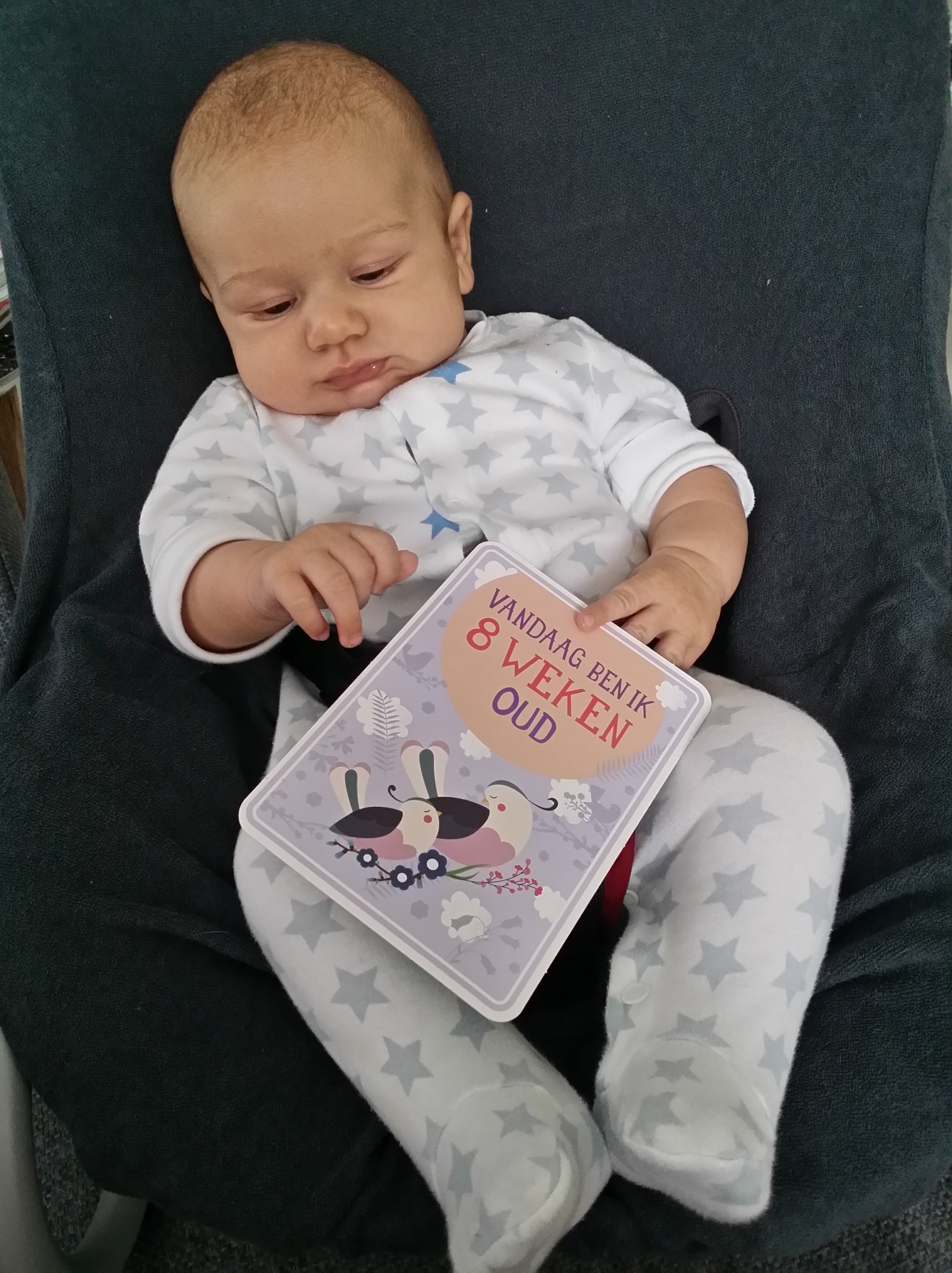 wpid-20140625_084423.jpg image